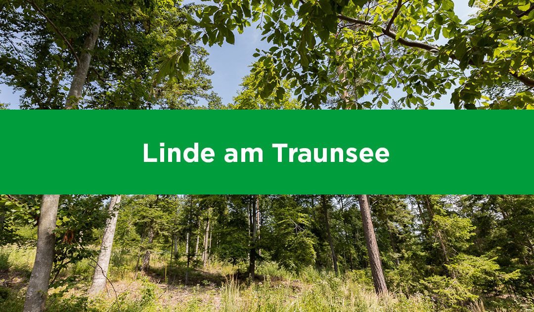 Linde am Traunsee