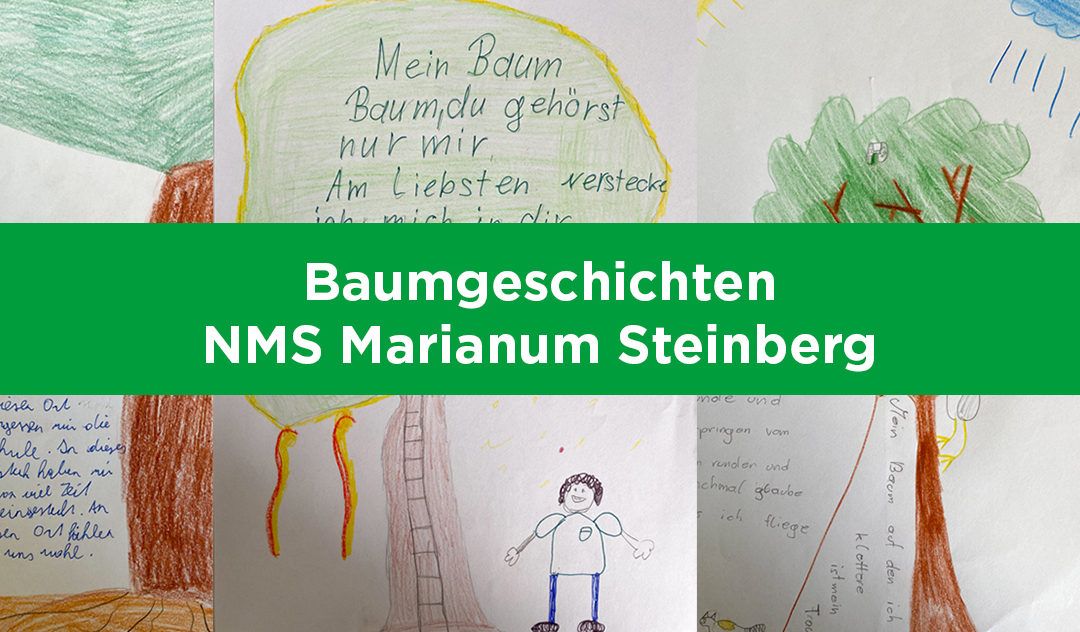 Baumgeschichten von Schülerinnen und Schülern aus Steinberg