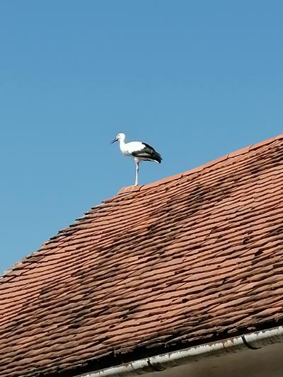 Kraftquelle