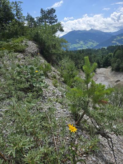 Kraftquelle